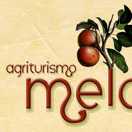 Agriturismo Il Melo Valfabbrica Zewnętrze zdjęcie