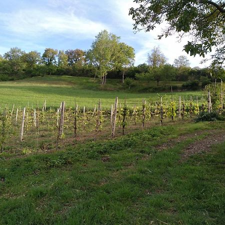 Agriturismo Il Melo Valfabbrica Zewnętrze zdjęcie