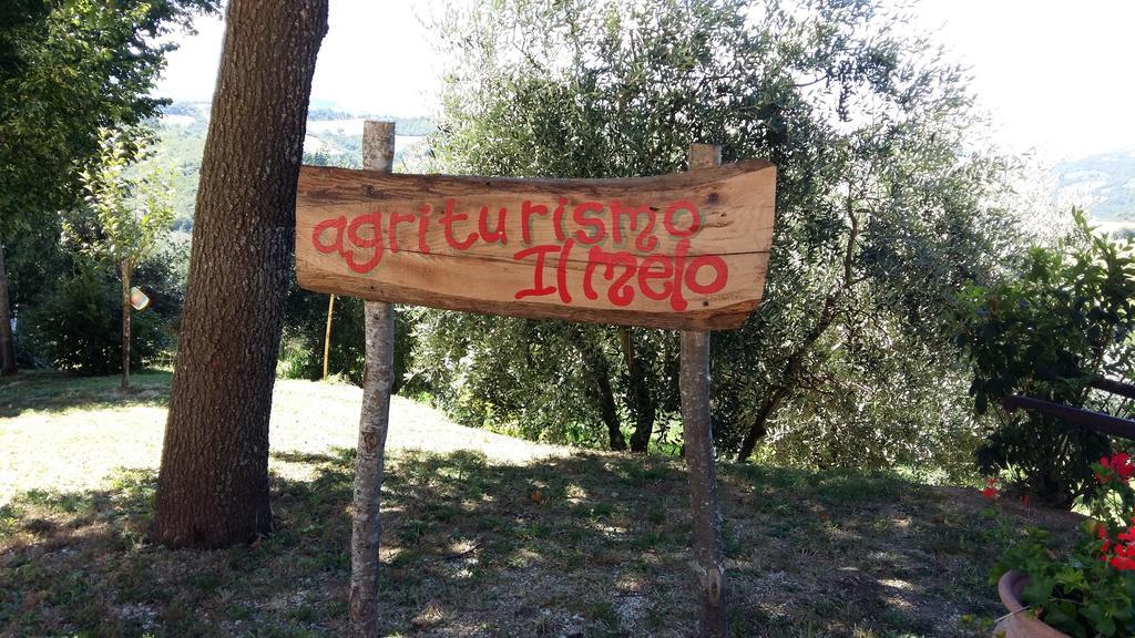 Agriturismo Il Melo Valfabbrica Zewnętrze zdjęcie
