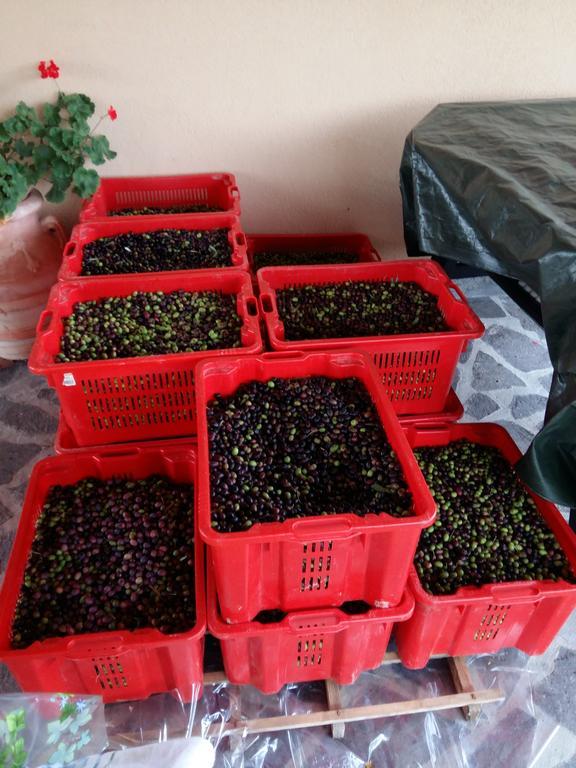 Agriturismo Il Melo Valfabbrica Zewnętrze zdjęcie