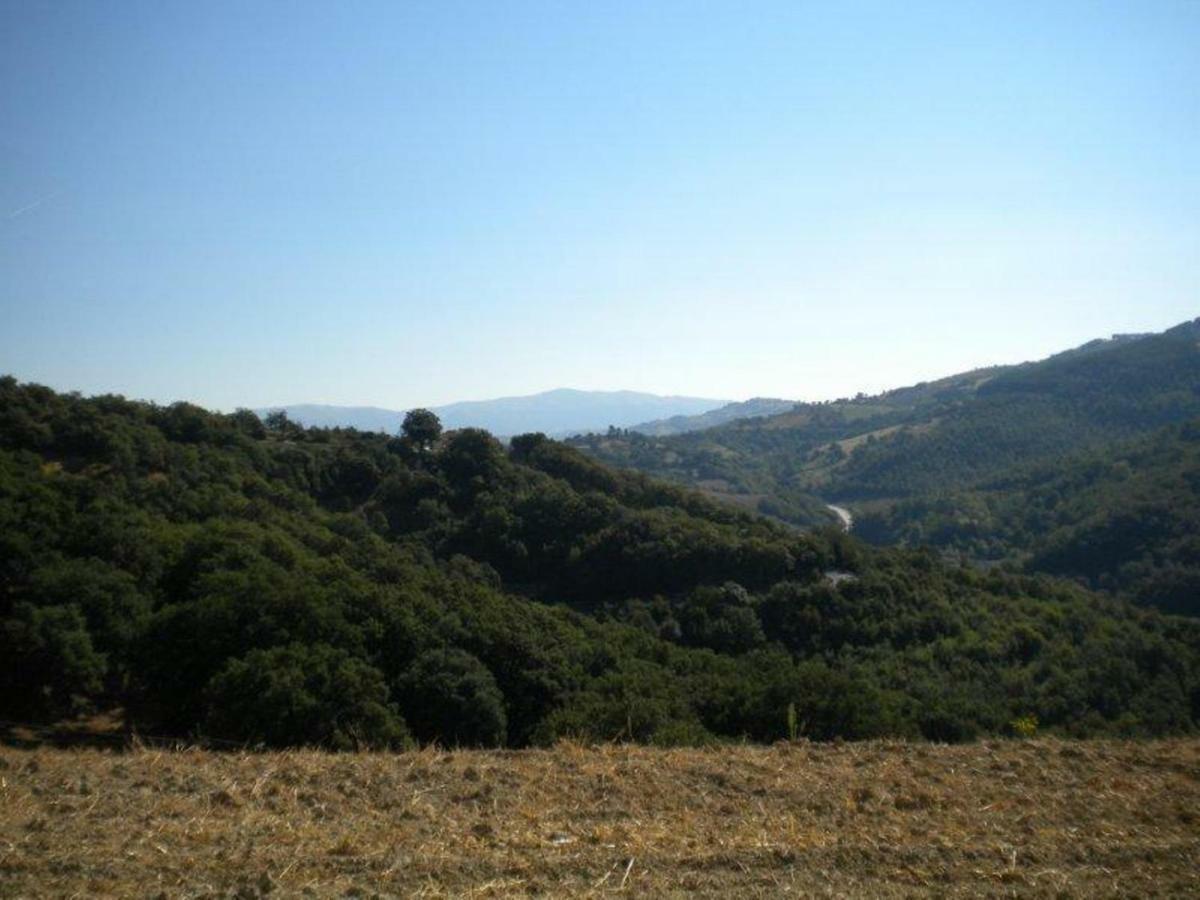 Agriturismo Il Melo Valfabbrica Zewnętrze zdjęcie
