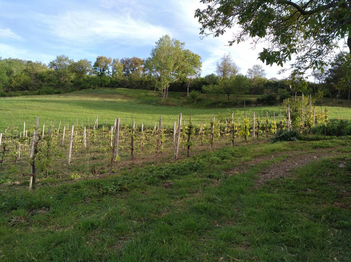 Agriturismo Il Melo Valfabbrica Zewnętrze zdjęcie